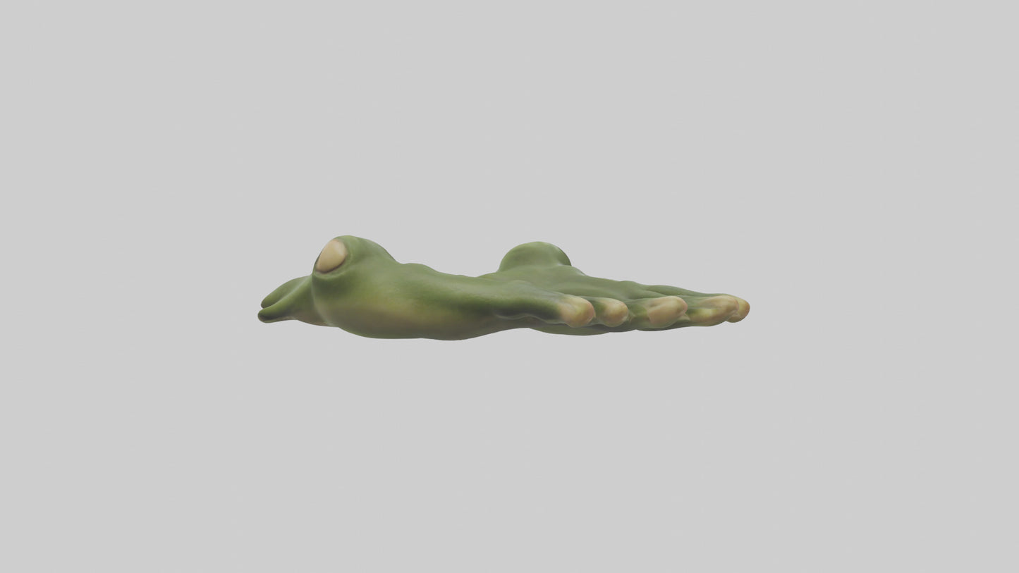 Frog Feet Model 3D model