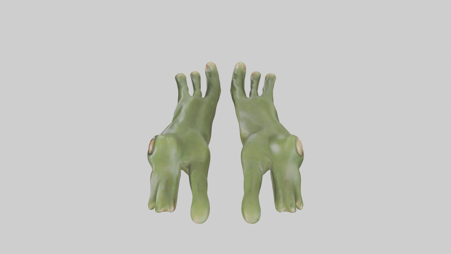Frog Feet Model 3D model