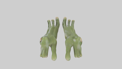 Frog Feet Model 3D model