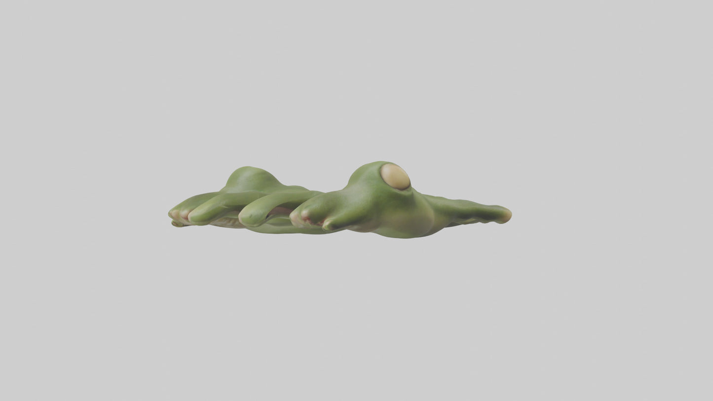 Frog Feet Model 3D model