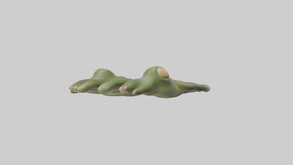 Frog Feet Model 3D model