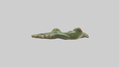 Frog Feet Model 3D model