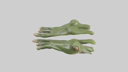 Frog Feet Model 3D model
