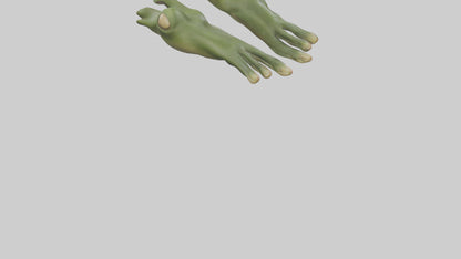 Frog Feet Model 3D model