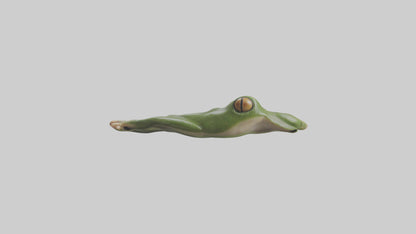 Frog Feet Model 3D model