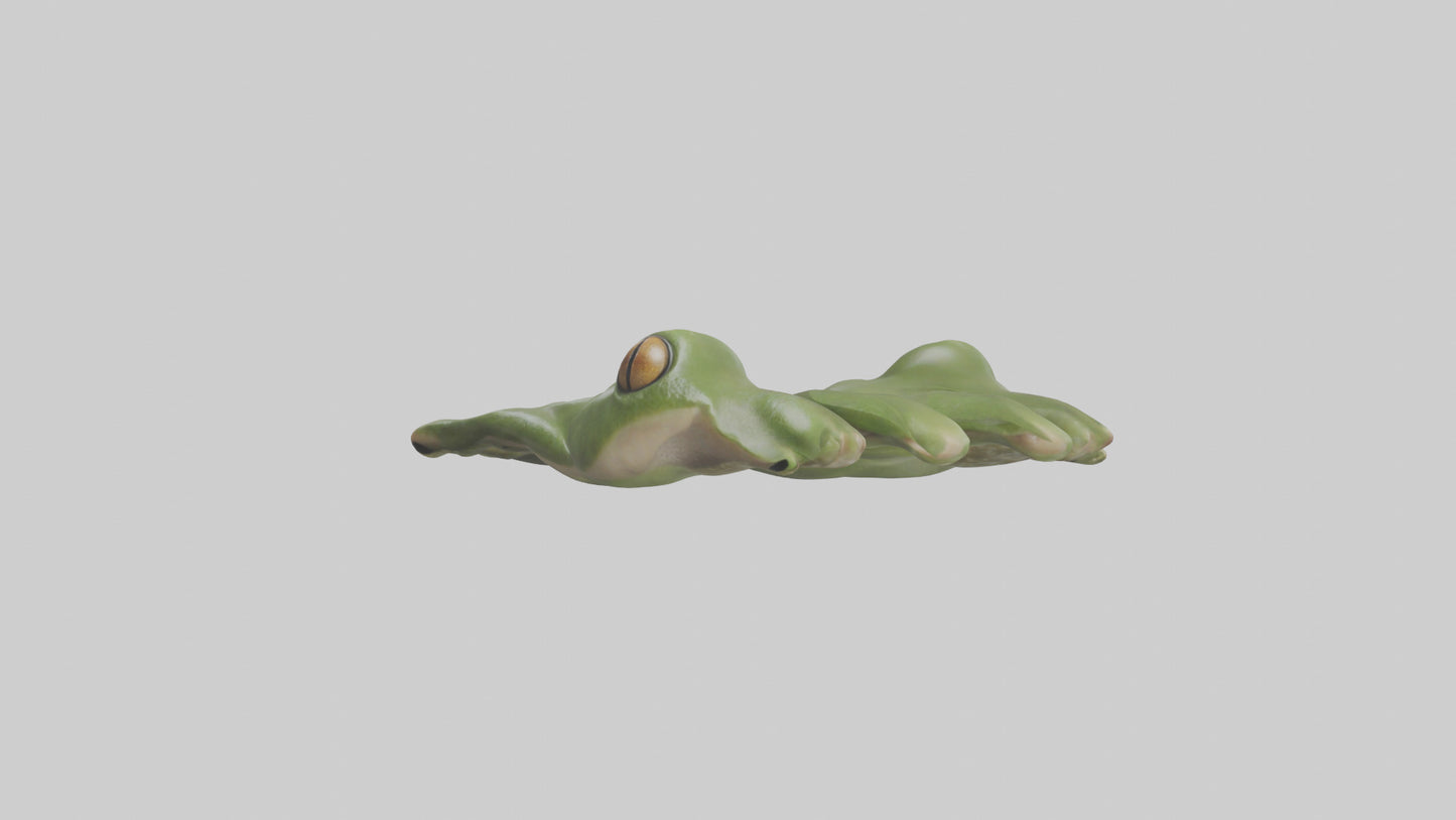 Frog Feet Model 3D model