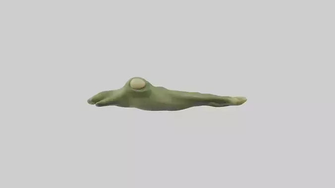 Frog Feet Model 3D model