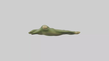 Frog Feet Model 3D model
