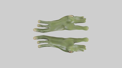 Frog Feet Model 3D model