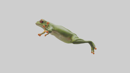 3D model Frog leaping model VR / AR / low-poly