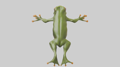 3D model Frog leaping model VR / AR / low-poly