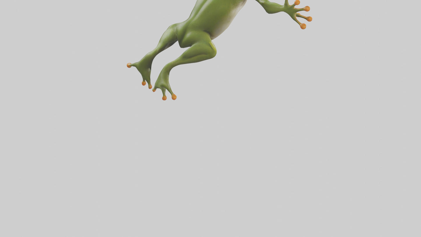 3D model Frog leaping model VR / AR / low-poly