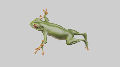 3D model Frog leaping model VR / AR / low-poly