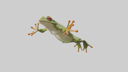 3D model Frog leaping model VR / AR / low-poly