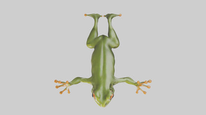 3D model Frog leaping model VR / AR / low-poly
