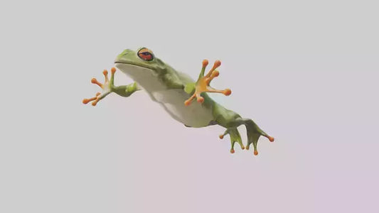 3D model Frog leaping model VR / AR / low-poly
