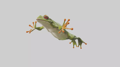 3D model Frog leaping model VR / AR / low-poly