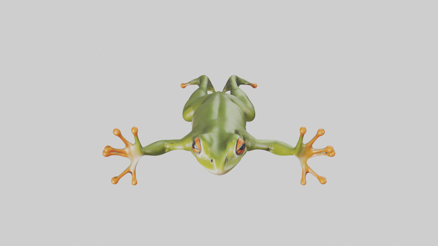 3D model Frog leaping model VR / AR / low-poly