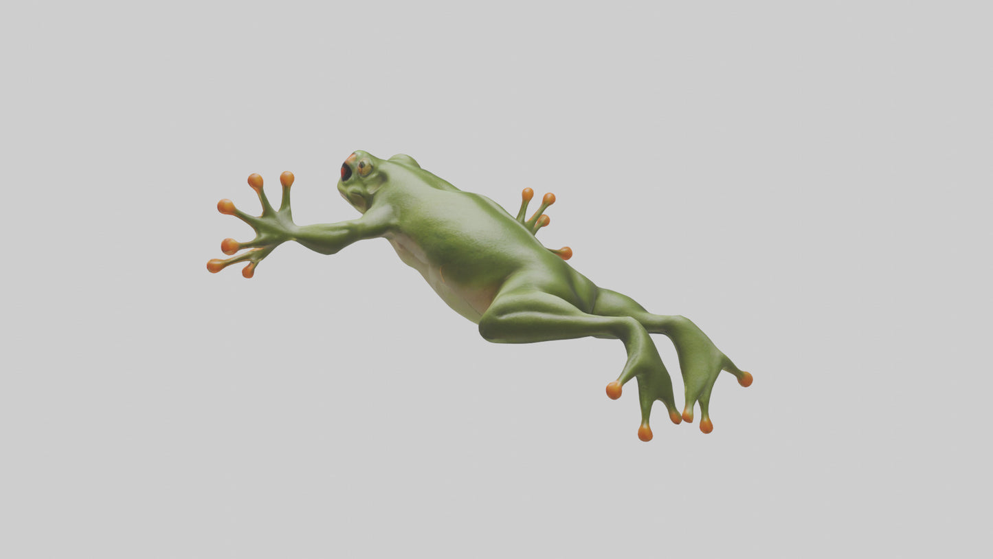 3D model Frog leaping model VR / AR / low-poly