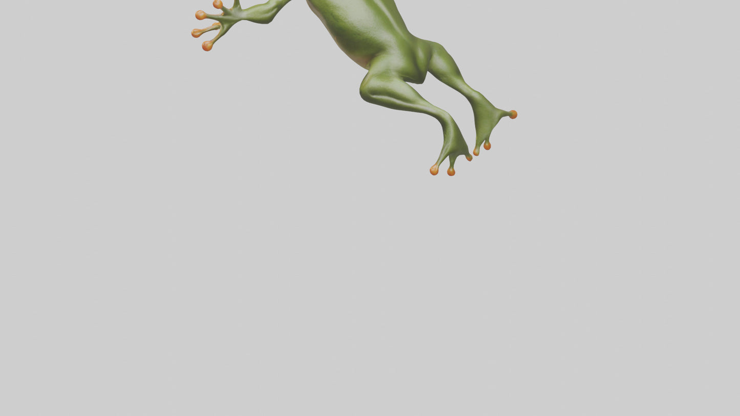 3D model Frog leaping model VR / AR / low-poly