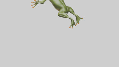 3D model Frog leaping model VR / AR / low-poly