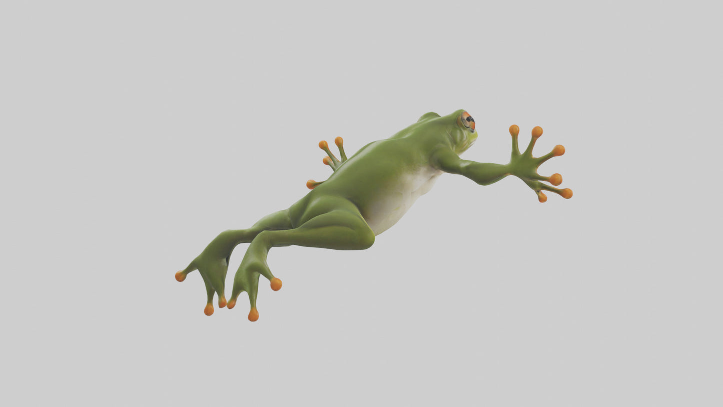 3D model Frog leaping model VR / AR / low-poly