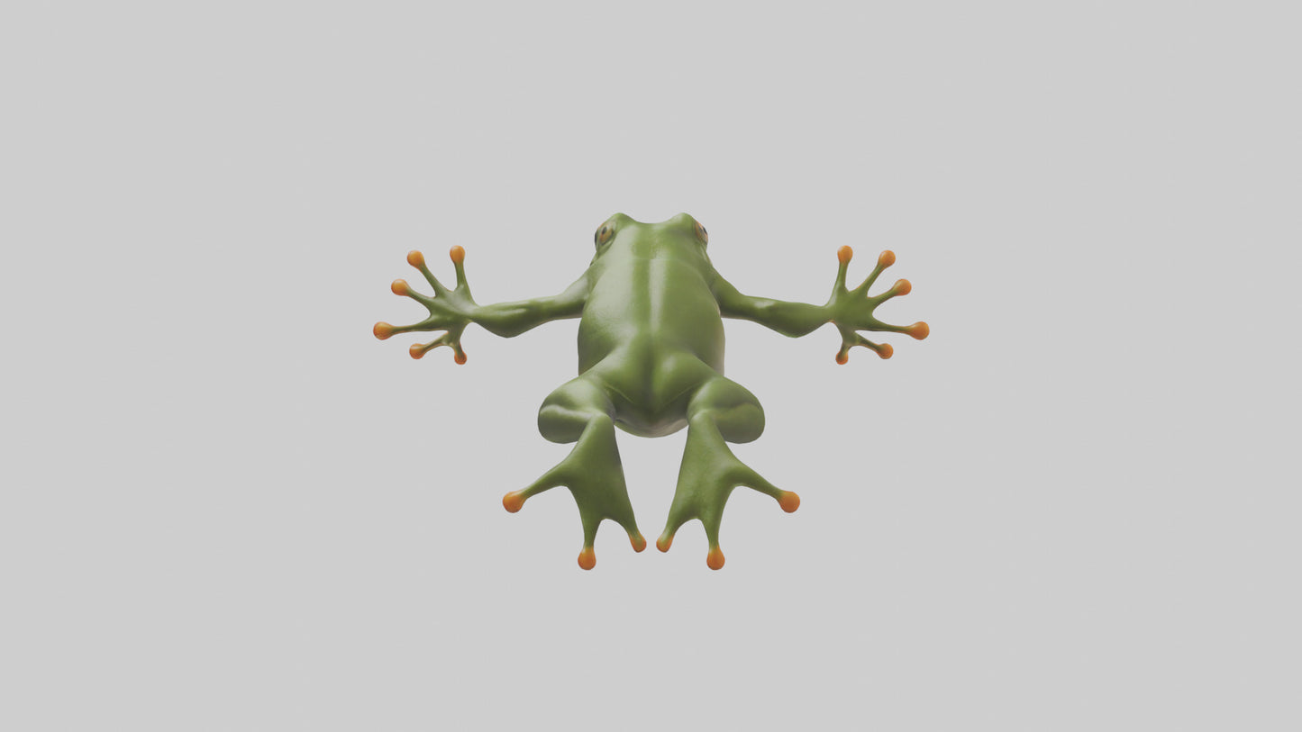3D model Frog leaping model VR / AR / low-poly