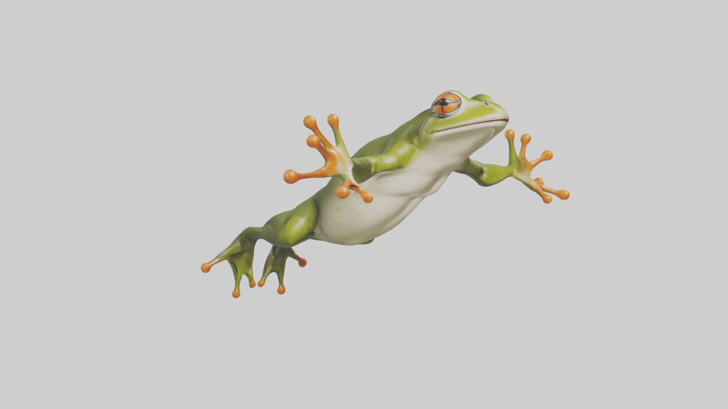 3D model Frog leaping model VR / AR / low-poly