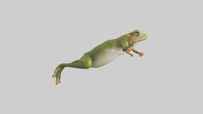 3D model Frog leaping model VR / AR / low-poly