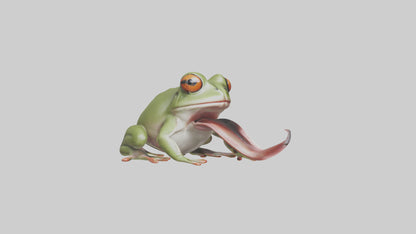 Frog Tongue Model VR / AR / low-poly