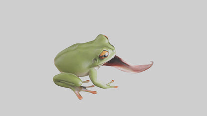 Frog Tongue Model VR / AR / low-poly