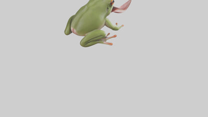 Frog Tongue Model VR / AR / low-poly