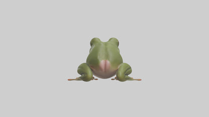 Frog Tongue Model VR / AR / low-poly