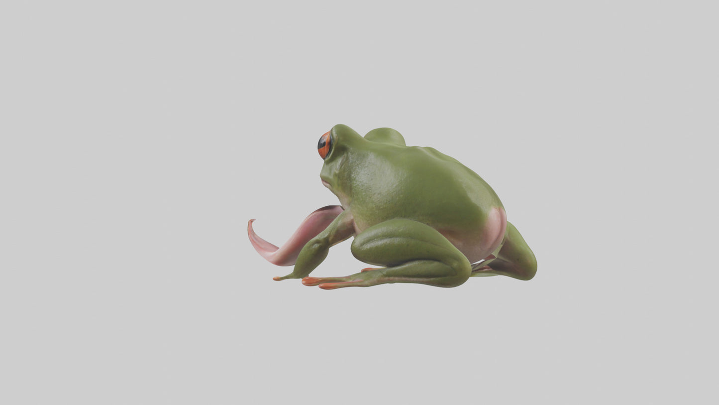 Frog Tongue Model VR / AR / low-poly