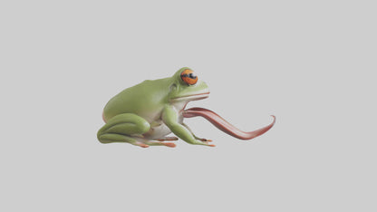 Frog Tongue Model VR / AR / low-poly