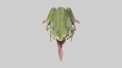 Frog Tongue Model VR / AR / low-poly