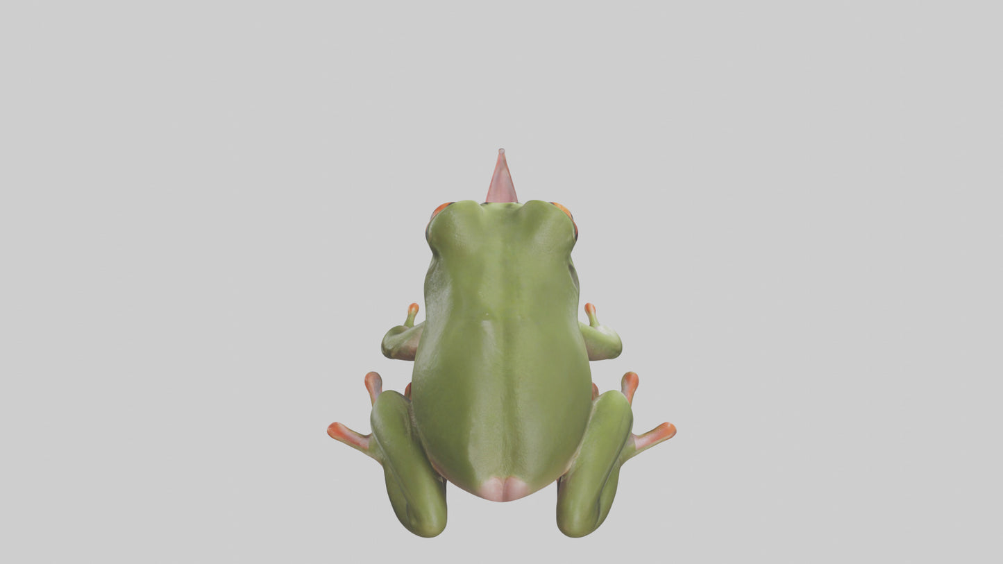 Frog Tongue Model VR / AR / low-poly