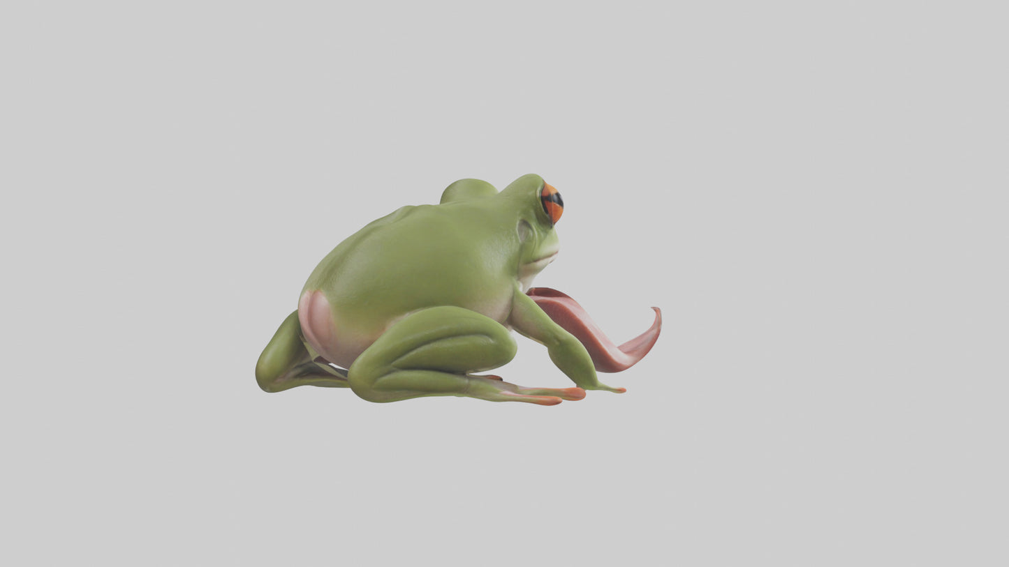 Frog Tongue Model VR / AR / low-poly