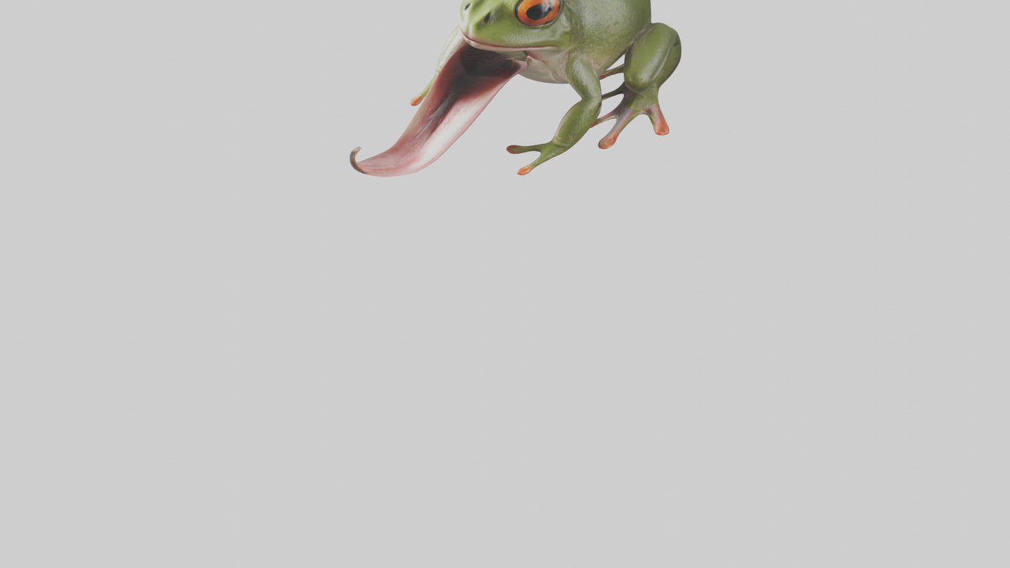 Frog Tongue Model VR / AR / low-poly