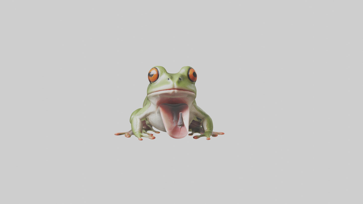 Frog Tongue Model VR / AR / low-poly