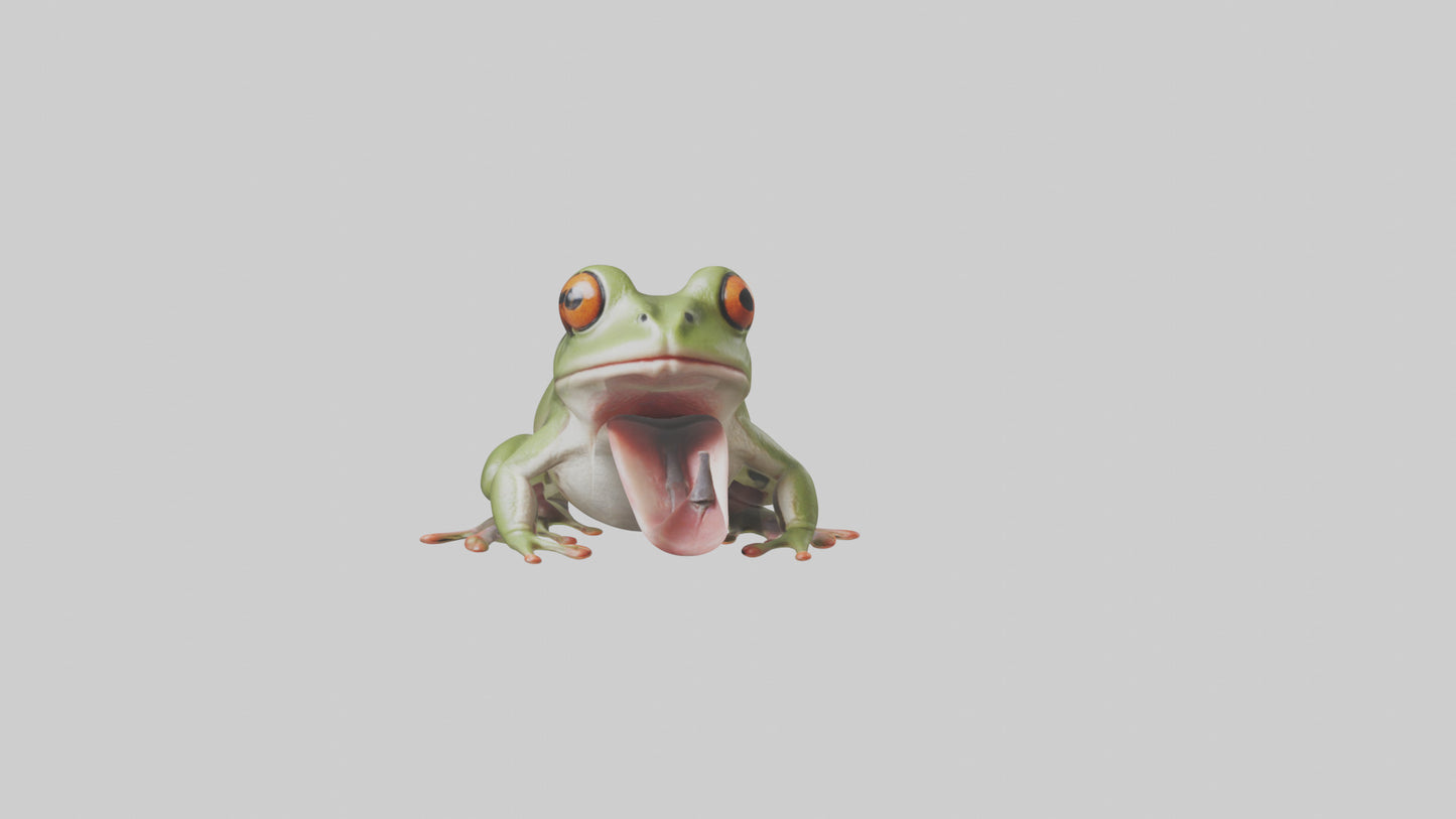 Frog Tongue Model VR / AR / low-poly