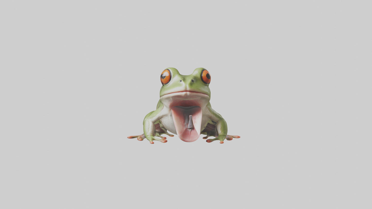 Frog Tongue Model VR / AR / low-poly