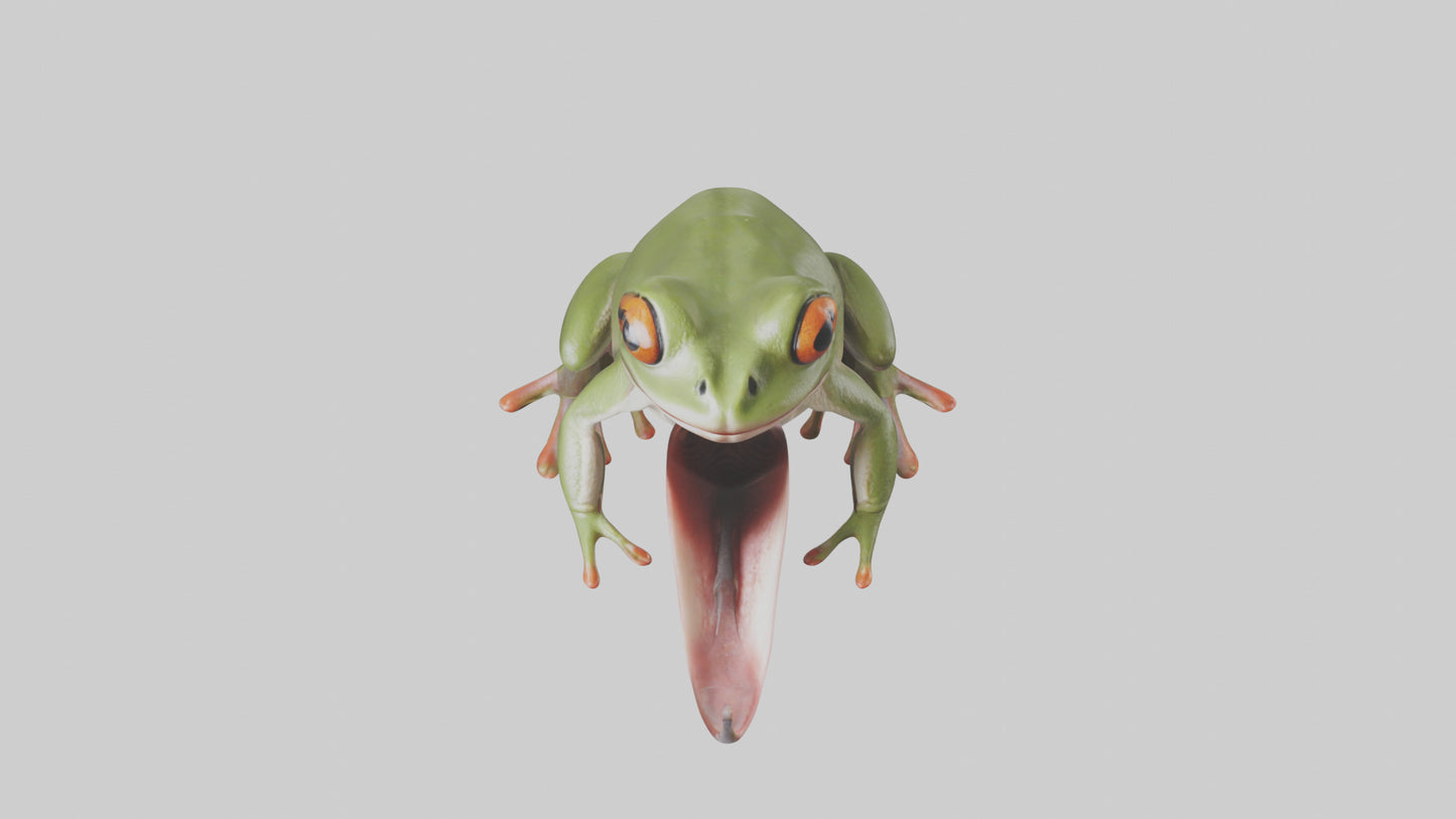 Frog Tongue Model VR / AR / low-poly