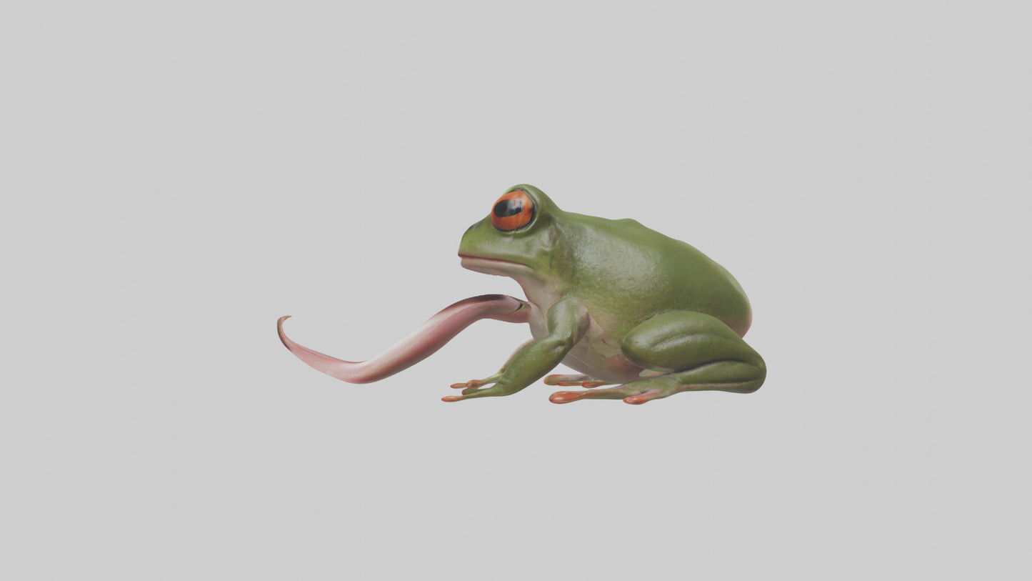 Frog Tongue Model VR / AR / low-poly