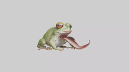 Frog Tongue Model VR / AR / low-poly