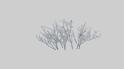 3D model Frosted Branches model VR / AR / low-poly