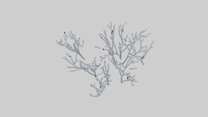 3D model Frosted Branches model VR / AR / low-poly