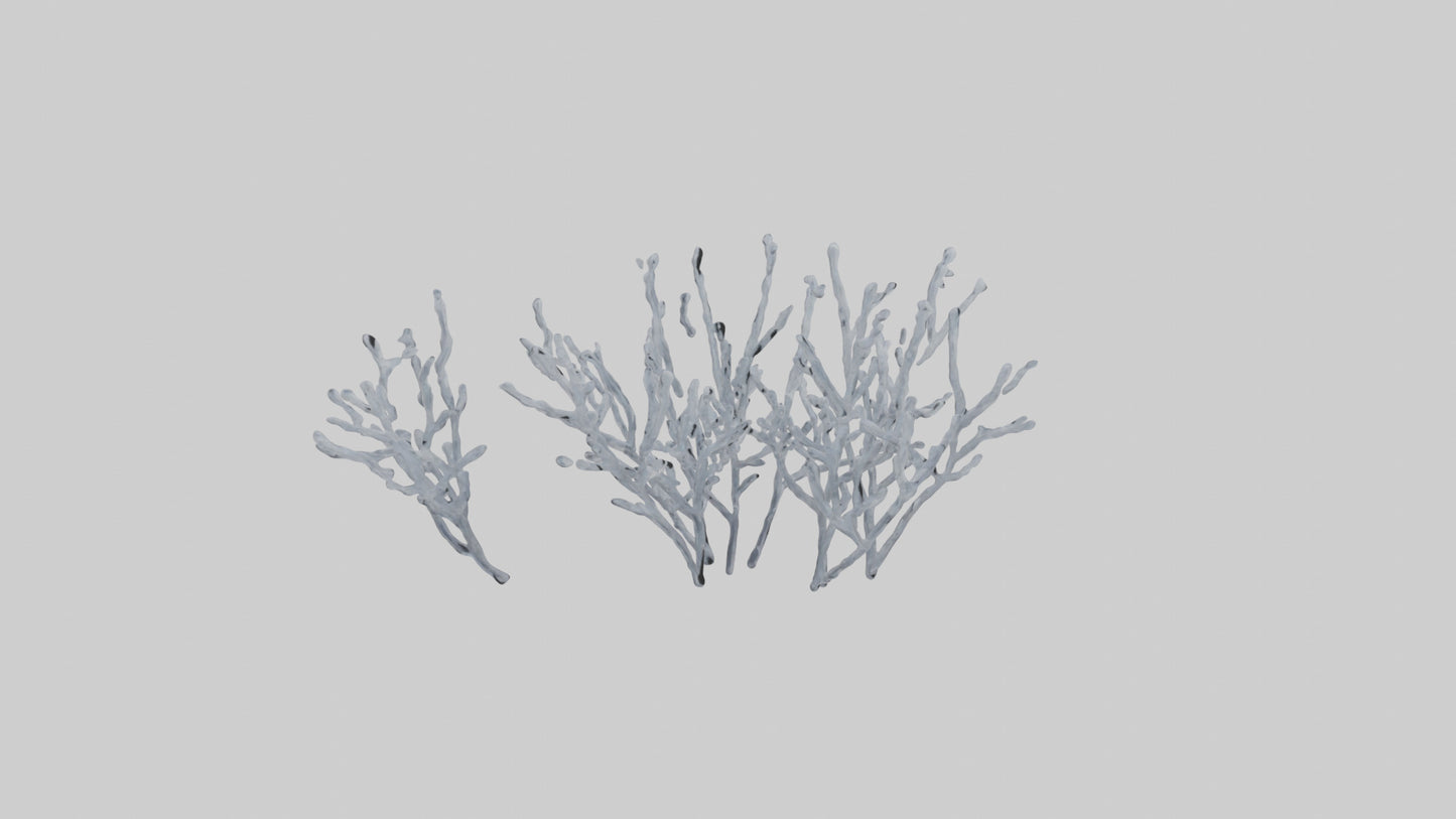 3D model Frosted Branches model VR / AR / low-poly