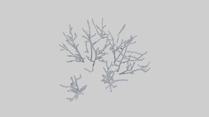3D model Frosted Branches model VR / AR / low-poly