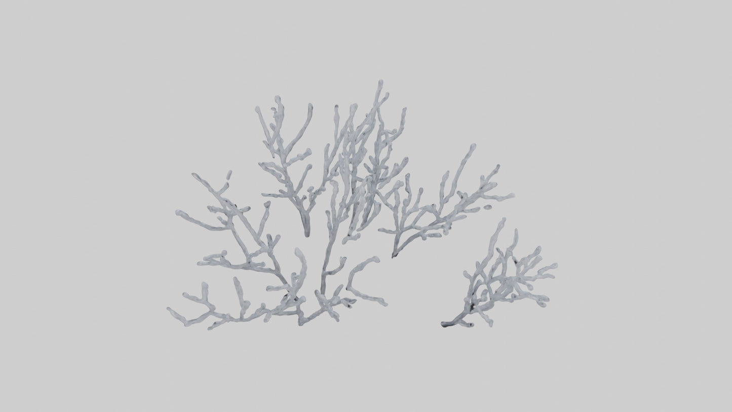 3D model Frosted Branches model VR / AR / low-poly